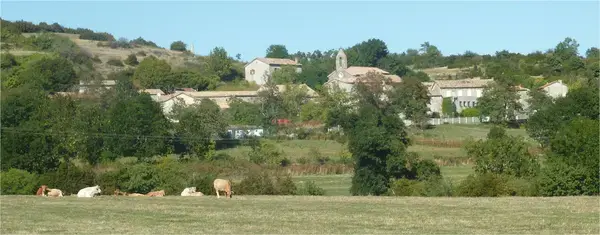 Monte Escalier 07 Monte escalier Freyssenet