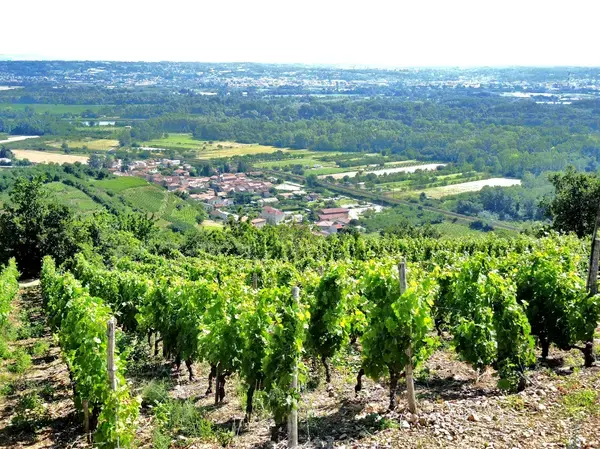 Monte Escalier 07 Monte escalier Limony